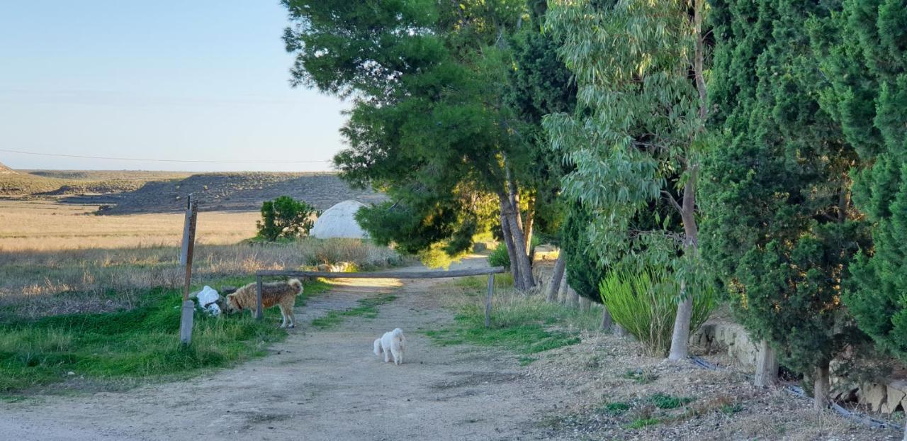 El Molino De Arriba Villa Nijar Luaran gambar