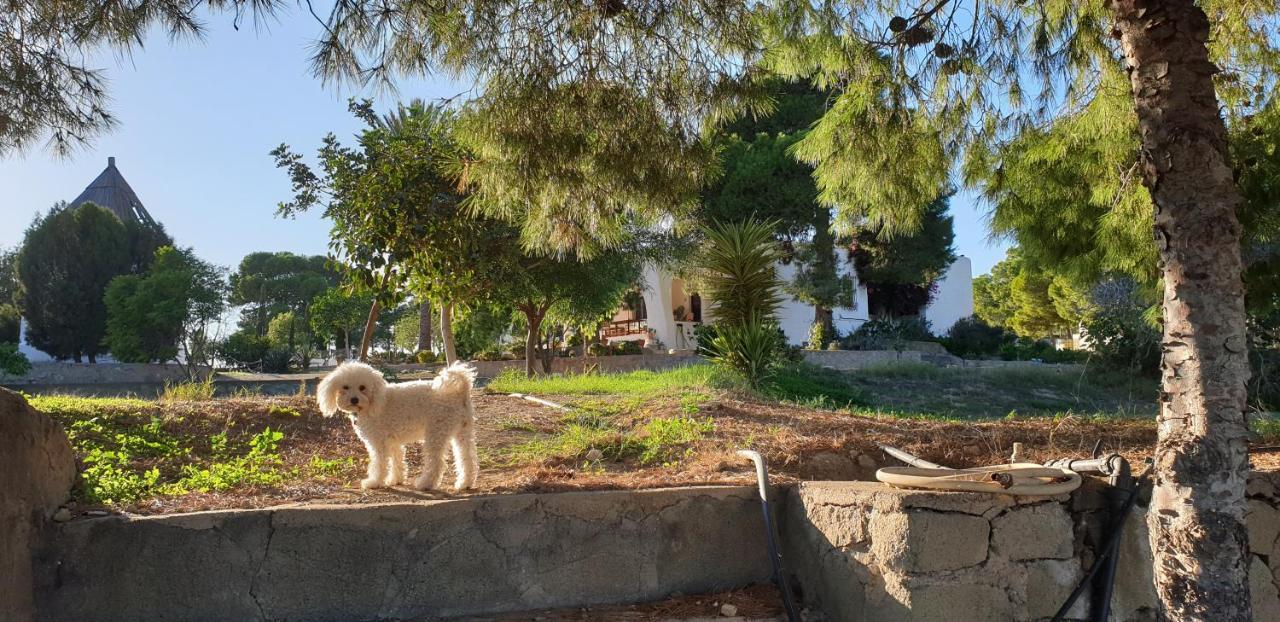 El Molino De Arriba Villa Nijar Luaran gambar